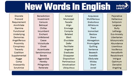nueva meaning in english|nuevo in english.